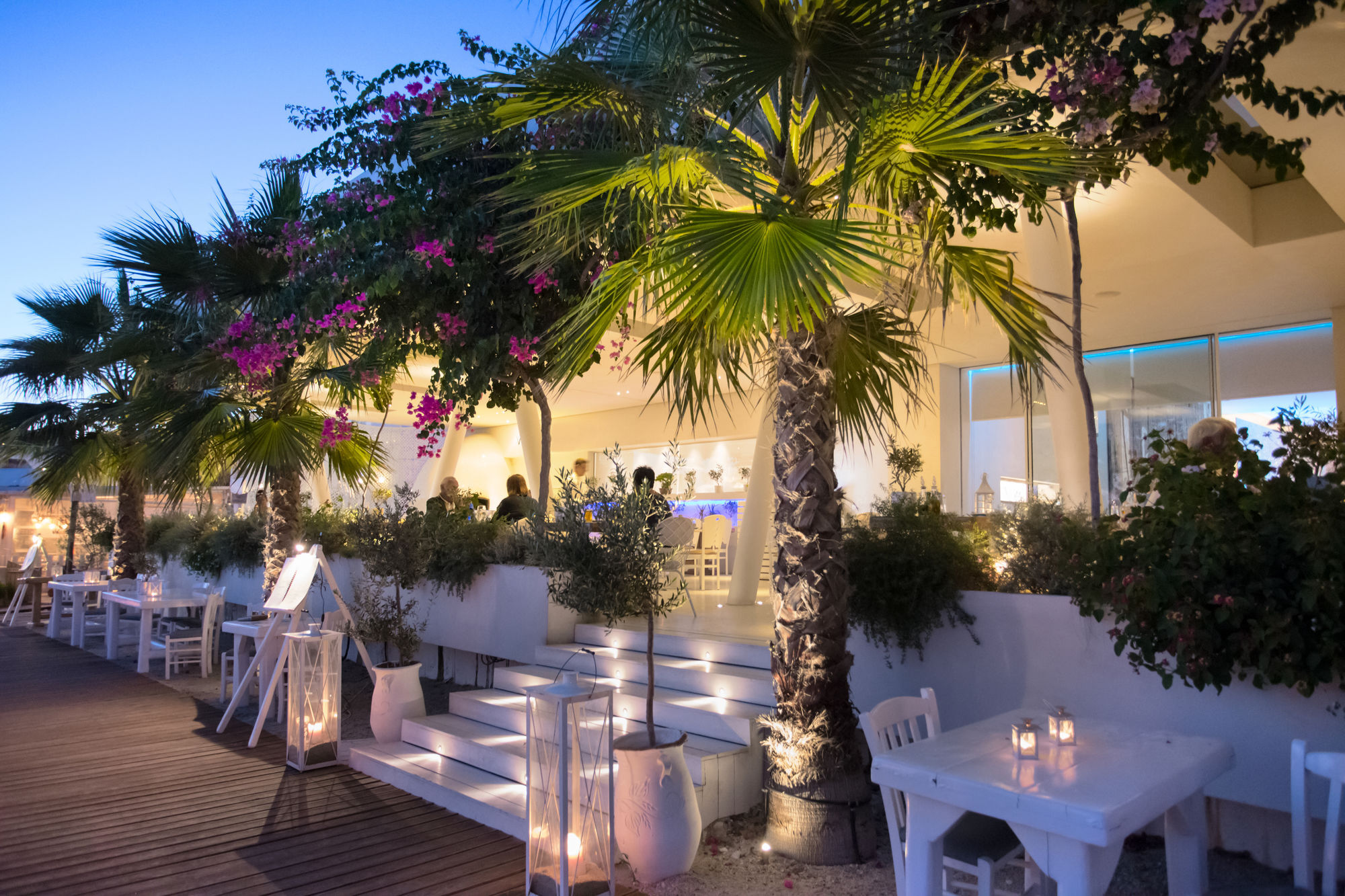 Mykonos Dove Beachfront Hotel Platys Gialos  Exteriör bild