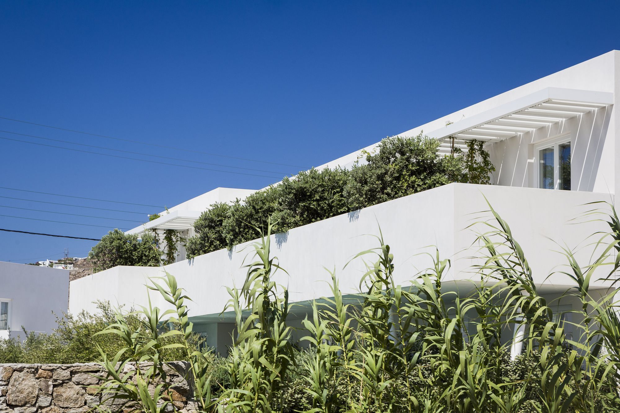 Mykonos Dove Beachfront Hotel Platys Gialos  Exteriör bild